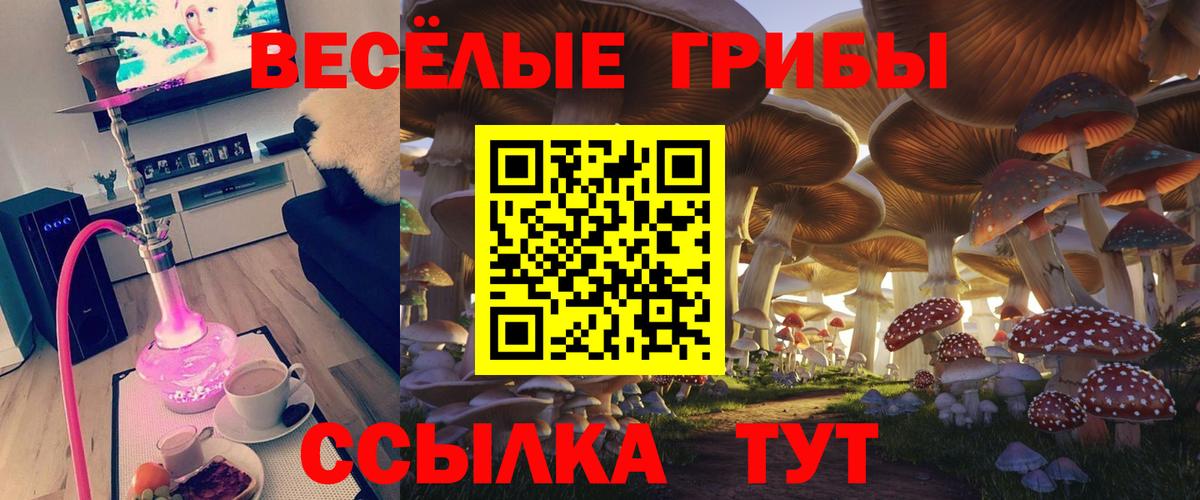 Псилоцибиновые грибы GOLDEN TEACHER Астрахань