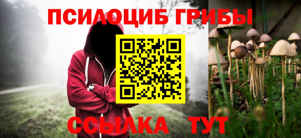 Псилоцибиновые грибы Cubensis  Вход с VPN  Галлюциногенные грибы Cubensis  Астрахань 